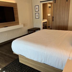 King Room Mobility accessible